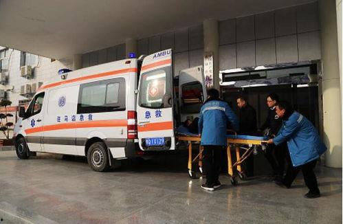 河南中学爆料事件视频,揭开校园乱象的真相  第3张